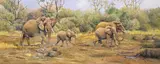 A family of elephants Signed Oil on canvas 40.5 x 96.5cm; 16 x 38in ++Good condition by Tony Wooding, Oil on canvas, offered Mar 2015