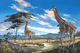 Giraffe in a landscape Oil on canvas 51 x 76cm; 20 x 30in ++Relined, good condition by Eric Tansley, Oil on canvas, offered Mar 2015
