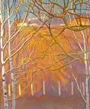 A winter landscape through birch branches Oil on board 80 x 66cm Provenance: By descent from the artist ++Good condition by Hermann Croissant, Oil on board, sold Mar 2015