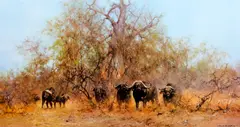 'Rhino Beware' by David Shepherd, sold Oct 2012