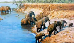 'Rhino Beware' by David Shepherd, sold Oct 2012