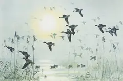 Ducks Alighting on a Pond by Peter Markham Scott, offered Jun 2012