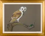 Australian Barn Owl and Bandicoot by Robin Hill, watercolor and gouache, offered Jan 2019