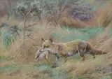 Renard tenant dans sa gueule un faisan by Jean Frédéric Rotig, 1912, Gouache signée en bas à droite et datée, sold Dec 2018
