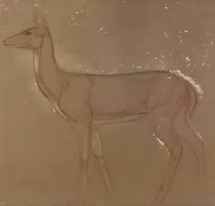 Biche by Auguste Trémont, Sanguine, fusain et craie blanche, sold Jun 2018