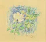 Roses blanches by Jacob Markiel, 1988, Pastel, sold Apr 2023