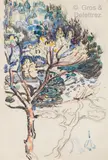 Le pin (étude pour « Antibes.La Salis ») by Paul Signac, vers 1916, Aquarelle et fusain sur papier, sold Apr 2021