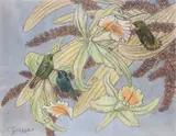 Colibris dans les orchidées by Gaston Suisse, Pastel à l’huile sur papier Rives, sold Dec 2020