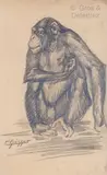 Solange se grattant by Gaston Suisse, Crayon gras, rehauts de sépia sur papier beige, sold Dec 2020
