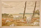 La Baie, 1897 Planche 1 sur 16 de la série des Aspects de la nature by Henri Rivière, Lithographie en, sold Jul 2024