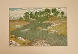 Ruisseau à Lopérec, 1901 Planche 4 sur 20 de la série Beau pays de Bretagne by Henri Rivière, Lithographie en, sold Jul 2024