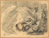 Tête de lion by Charles Edme Saint Marcel, Crayon noir, sold Nov 2014