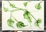 The Green Mind by Barthélémy Toguo, 2006, Aquarelle sur papier, sold Jun 2014
