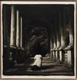 Ingram Columns by William Ingram, 1990, Tirage platinum, sold Jun 2014