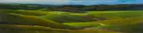 The Grapevine by Ross Penhall, 2019, oil on canvas, sold May 2020