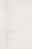 Tree in Front of the Door by Lionel LeMoine FitzGerald, charcoal on paper, sold May 2020