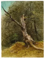 Baumstudie by Joseph Schwemminger, Um 1840, Öl auf Papier, sold May 2012