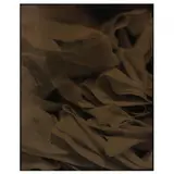Untitled (Toilet Paper) by Joshua White, Tintype, sold Jul 2023