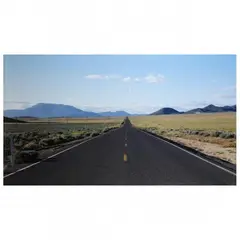 Highway 50, Nevada #1 by Doug Hall, Chromogenic print, sold Jul 2023