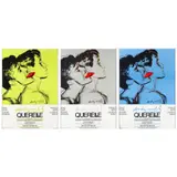 Querelle Green / Querelle Grey / Querelle Blue (Three Works) by Andy Warhol, Each an offset lithographic exhibition poster, sold Jul 2023