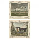 Two Antique Horse Racing Prints by Richard Houston, Hand-colored mezzotints, sold Jul 2023
