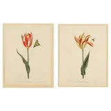 A Pair of Tulip Paintings by La Roche Lafitte, Each a watercolor on silk mounted to a sheet of hand-made paper, sold Jun 2023