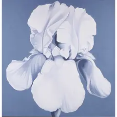 Iris by Lowell Nesbitt, 1964, oil on canvas, sold Sep 2024
