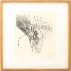 Als vom Butt nur die Graete geblieben war" [When All that was Left of the Flounder was the Bone] by Günter Grass, 1977, Etching on Paper, sold Nov 2025
