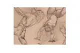 Untitled by Bryan Edward Duppa, print (other), offered Jan 2022