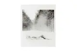 Untitled by Patrick Lichfield, print, offered Jan 2022
