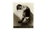Untitled by Herb Ritts, print, offered Jan 2022