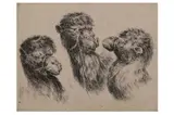 Untitled by Stefano della Bella, etching on paper, offered Dec 2021