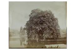 Untitled by Vernon Heath, print, offered Dec 2021