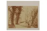 Untitled by John Dillwyn Llewelyn, print, offered Dec 2021