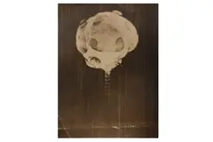 Untitled by Harold Eugene Edgerton, print, offered Dec 2021