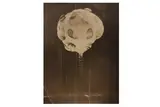 Untitled by Harold Eugene Edgerton, print, offered Dec 2021