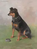 Seated Manchester Terrier with a toy Oil by Frances C. Fairman, 1900, Oil on canvas, sold Dec 2017