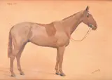 Red ot; Starlight Oil on board Each signed F.M by F. M. Hollams, Oil on board, sold Nov 2017