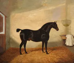 A bay hunter in a stable by Albert Clark, 1819, Oil on canvas, a pair Both signed and dated, sold Nov 2017