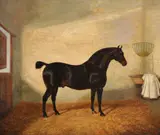 A bay hunter in a stable by Albert Clark, 1819, Oil on canvas, a pair Both signed and dated, sold Nov 2017