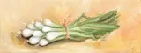 Spring Onions Oil by Susie Philipps, Oil on board, sold Nov 2017