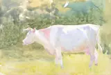 A cow in a meadow on a summer s day Watercolour with white by Mildred Anne Butler, Watercolour with white over slight pencil, sold Nov 2017