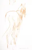 Study of a horse by John Skeaping, Pen and brown ink, sold Nov 2017