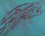 Sea Serpent Etching and aquatint printed in colours, 1976 Signed in pencil, titled, dated and numbered 72/75 Image 41 x 53cm by Stanley William Hayter, Etching and aquatint printed in colours, offered Oct 2017