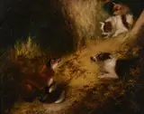 The Fox's Lair Oil on canvas 43 x 54cm (16 7/8 x 21 1/4in.) by Edward Armfield, Oil on canvas, offered Aug 2017