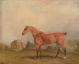 Horse in a landscape Oil on board Inscribed to board, verso 17 x 21cm (6 3/4 x 8 1/4in.) by Richard Barrett Davis, Oil on board, sold Aug 2017