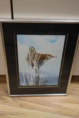 Study of a Redshank by Michael J. Loates, 1978, watercolour, sold Nov 2020