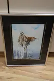 Study of a Redshank by Michael J. Loates, 1978, watercolour, sold Nov 2020