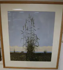 Study of grasses by John Ridgewell, acrylic on paper, sold Oct 2020