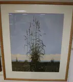 Study of grasses by John Ridgewell, acrylic on paper, sold Oct 2020